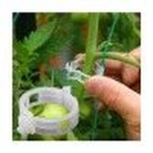 ДОМАТЕНА СКОБА